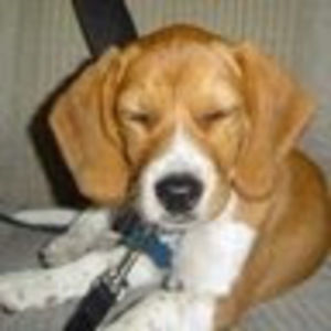 Meet your Posher, Kimmy